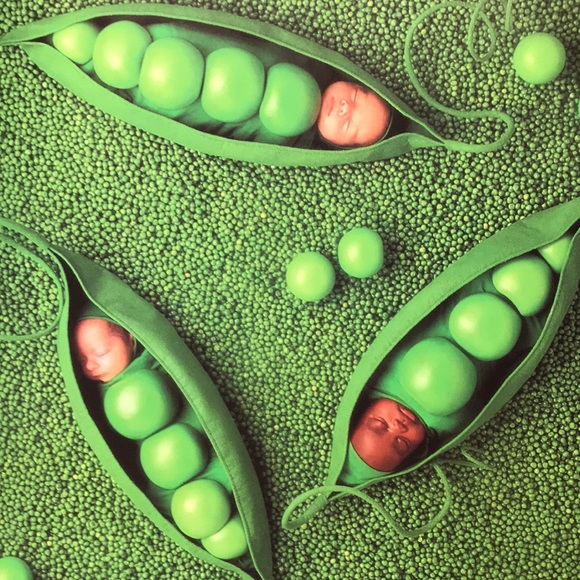 Anne Geddes Down in the Garden hardcover - Picture 6 of 9